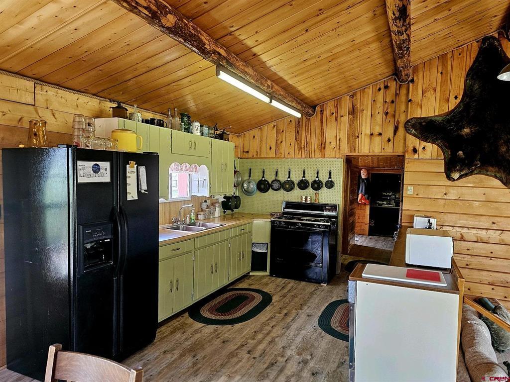 4650 Us Fsrd 516 Cabin #6 Creede CO 81130