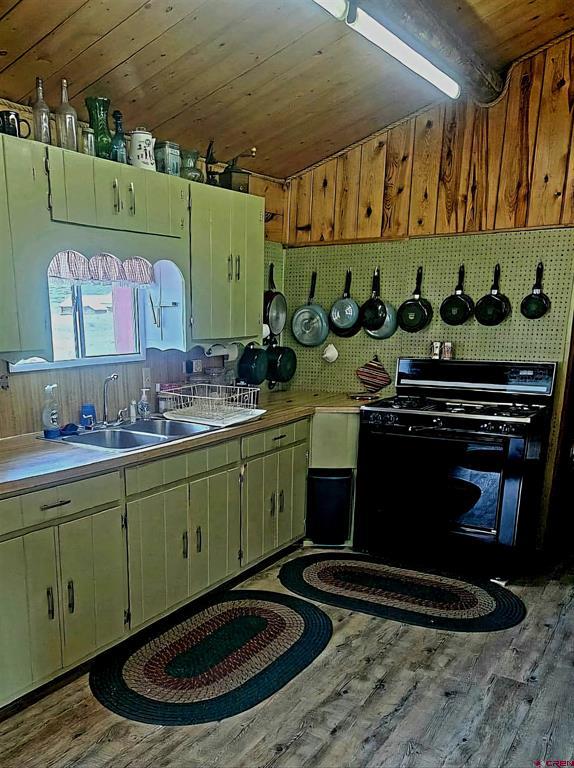 4650 Us Fsrd 516 Cabin #6 Creede CO 81130