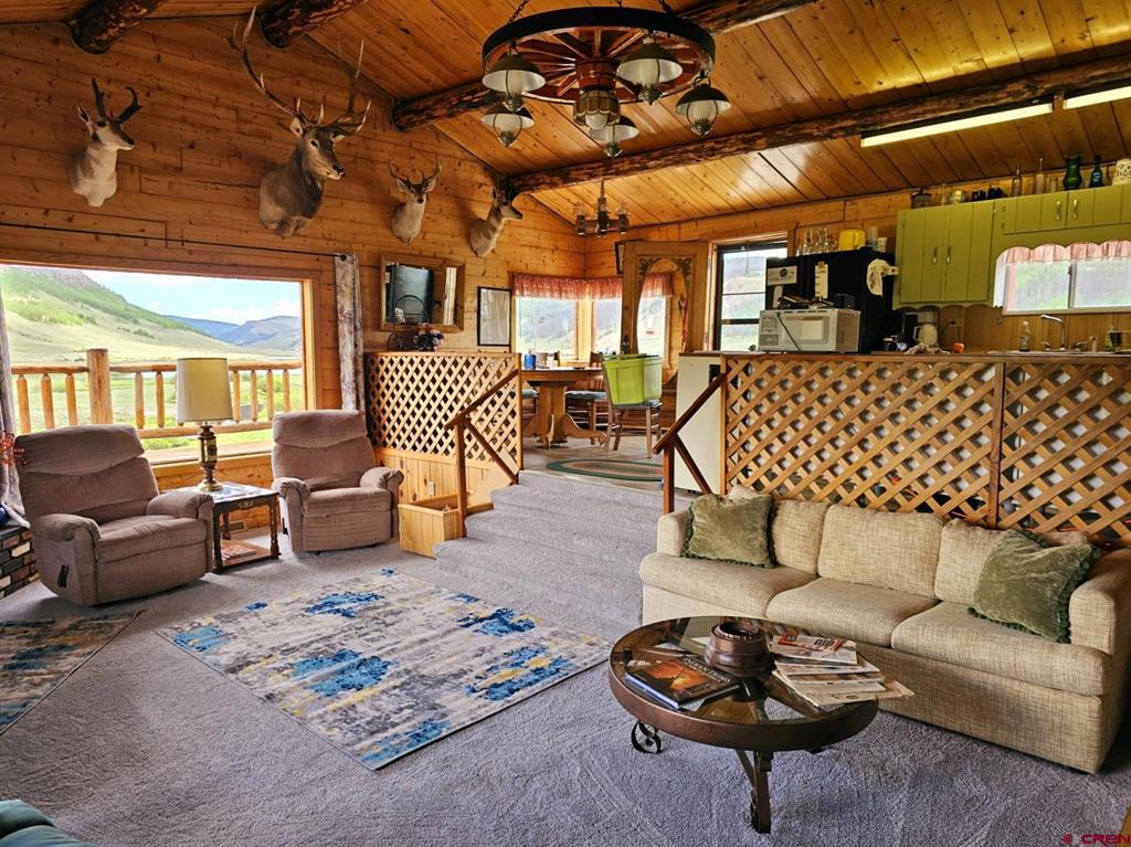 4650 Us Fsrd 516 Cabin #6 Creede CO 81130