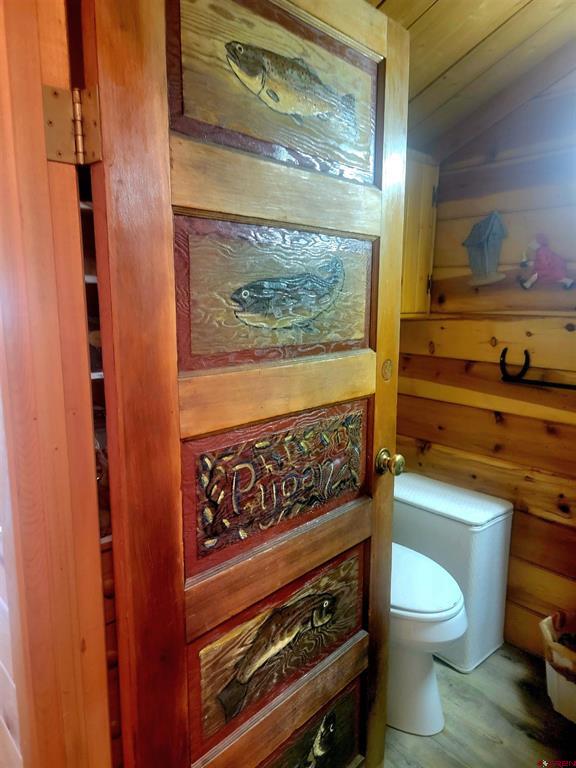 4650 Us Fsrd 516 Cabin #6 Creede CO 81130
