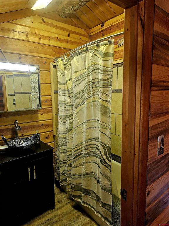 4650 Us Fsrd 516 Cabin #6 Creede CO 81130