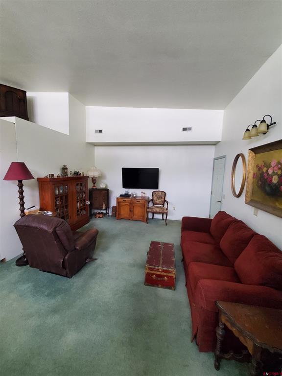 1145 Greene Street Silverton CO 81433
