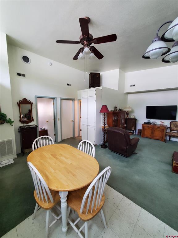 1145 Greene Street Silverton CO 81433