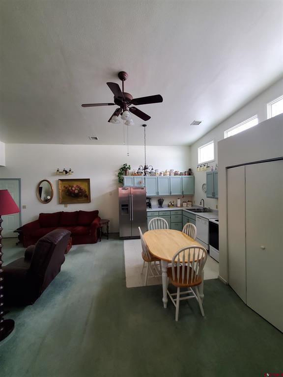 1145 Greene Street Silverton CO 81433