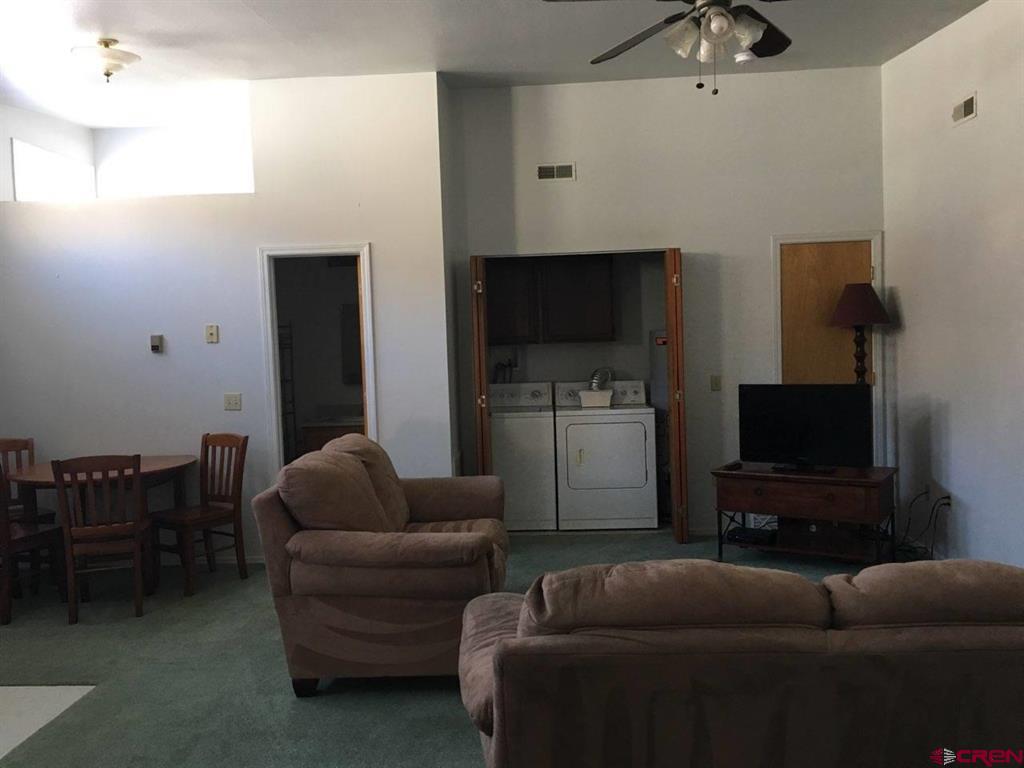 1145 Greene Street Silverton CO 81433