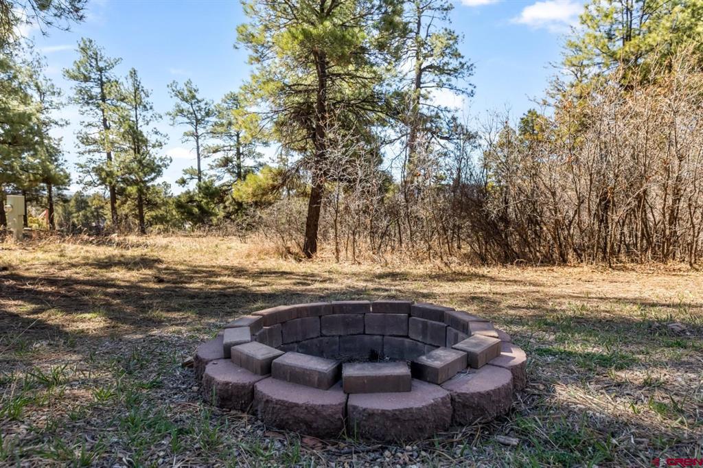 62 W Golf Place Pagosa Springs CO 81147