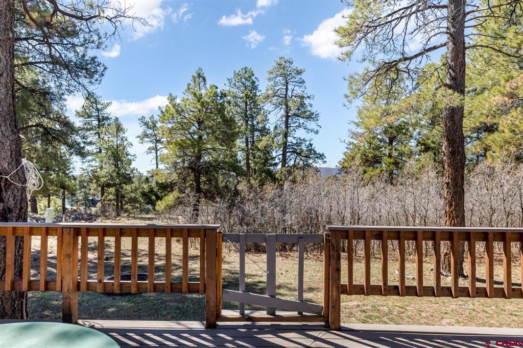 62 W Golf Place Pagosa Springs CO 81147