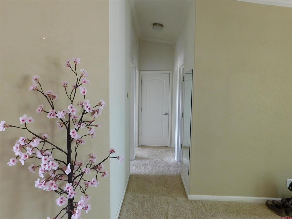 3588 E County Road 3 South Monte Vista CO 81144