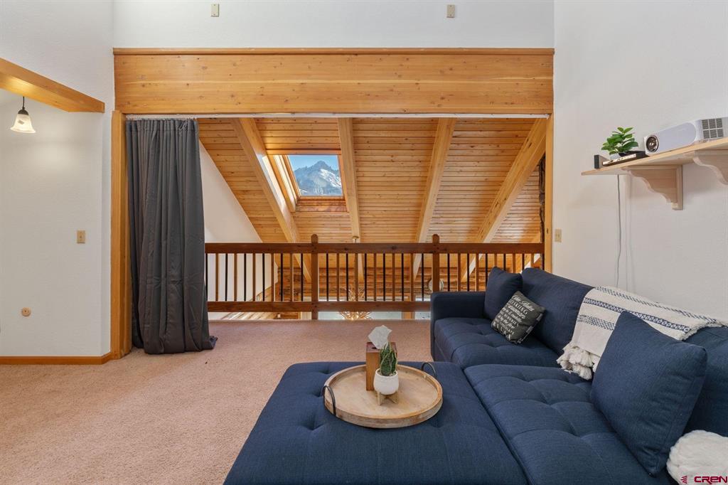 125 County Road 7a Ridgway CO 81432
