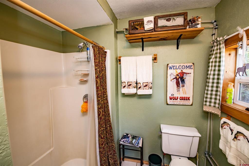 395 County Road 339 Pagosa Springs CO 81147