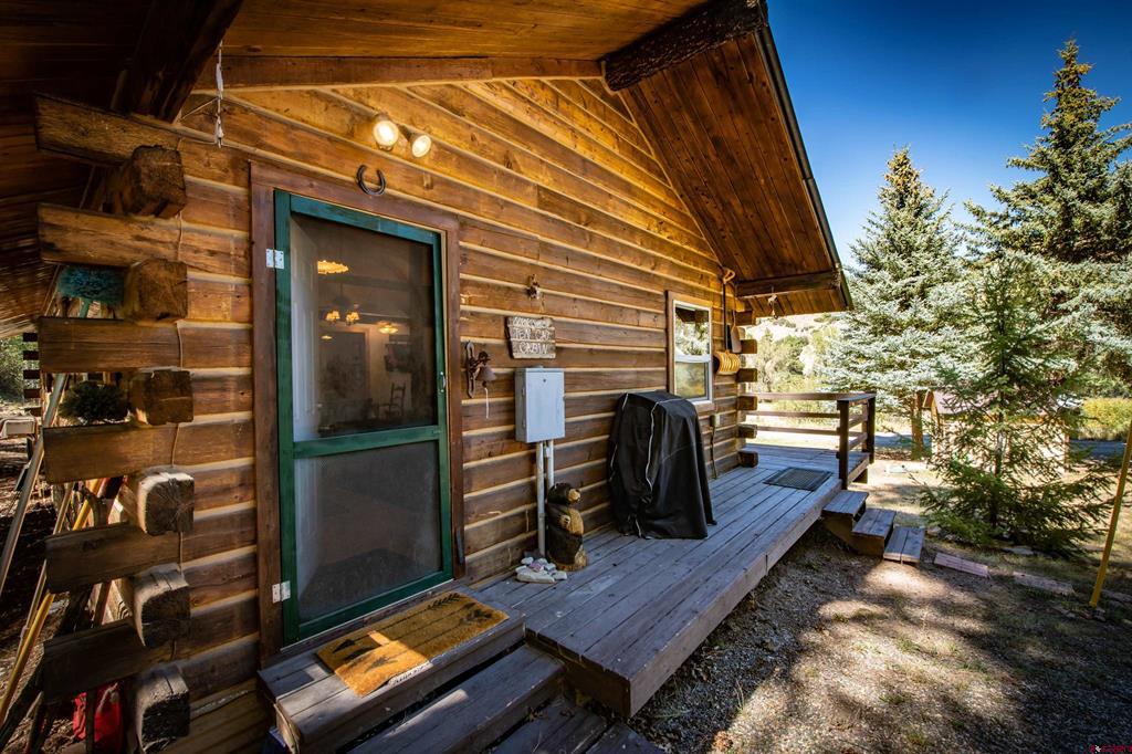 395 County Road 339 Pagosa Springs CO 81147