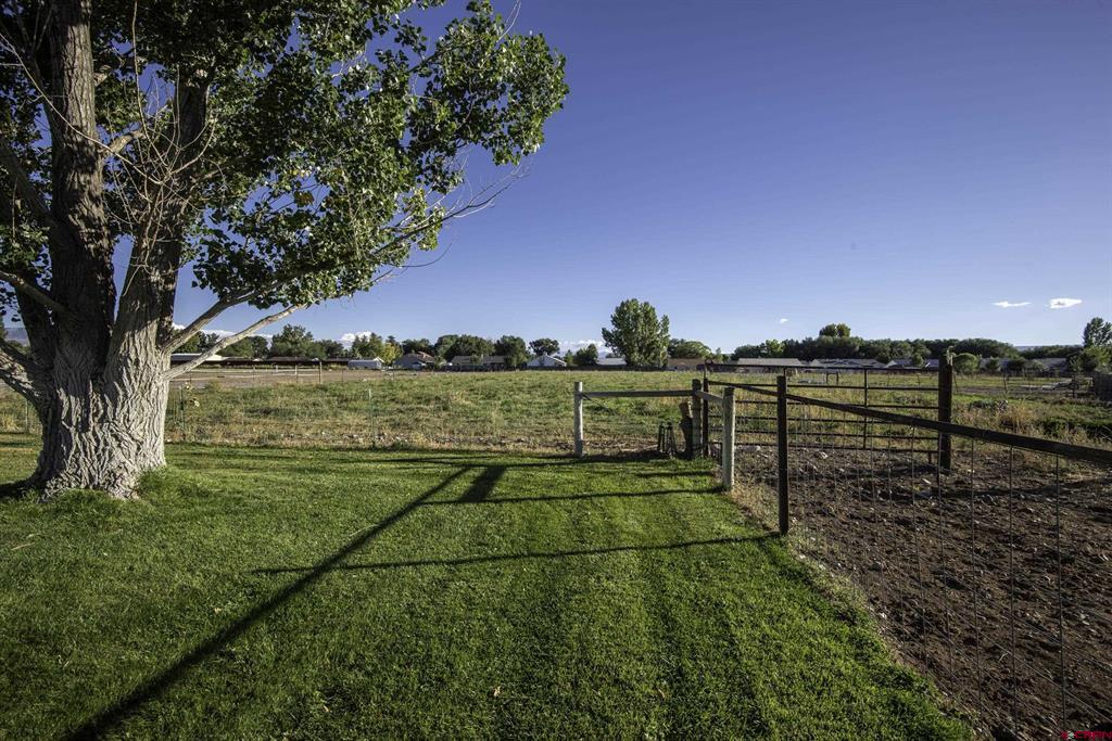 1050 Fruit Park Road Montrose CO 81403