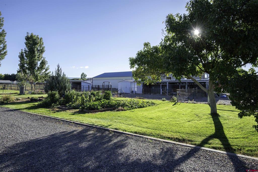 1050 Fruit Park Road Montrose CO 81403