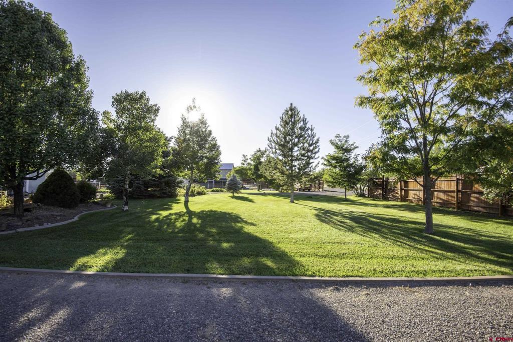 1050 Fruit Park Road Montrose CO 81403