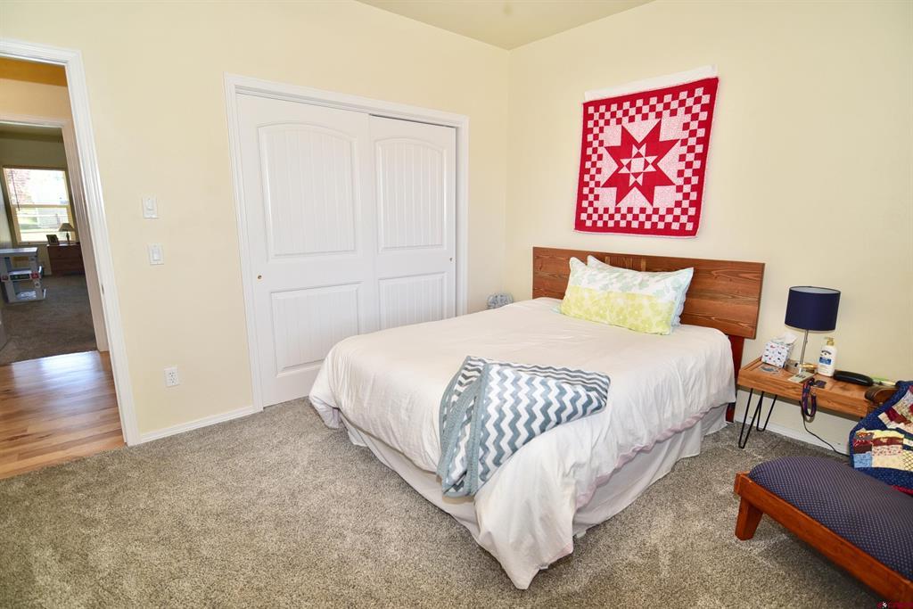 2917 Paintbrush Way Montrose CO 81401
