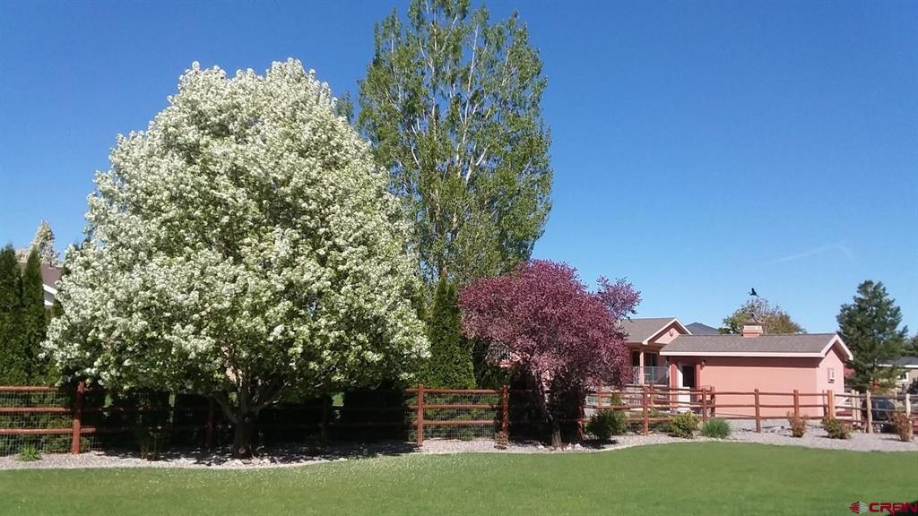 2917 Paintbrush Way Montrose CO 81401