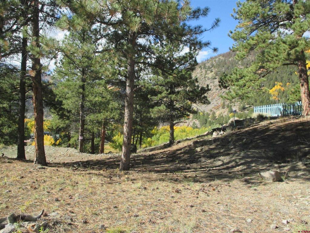 1121 Ocean Wave Drive Lake City CO 81235