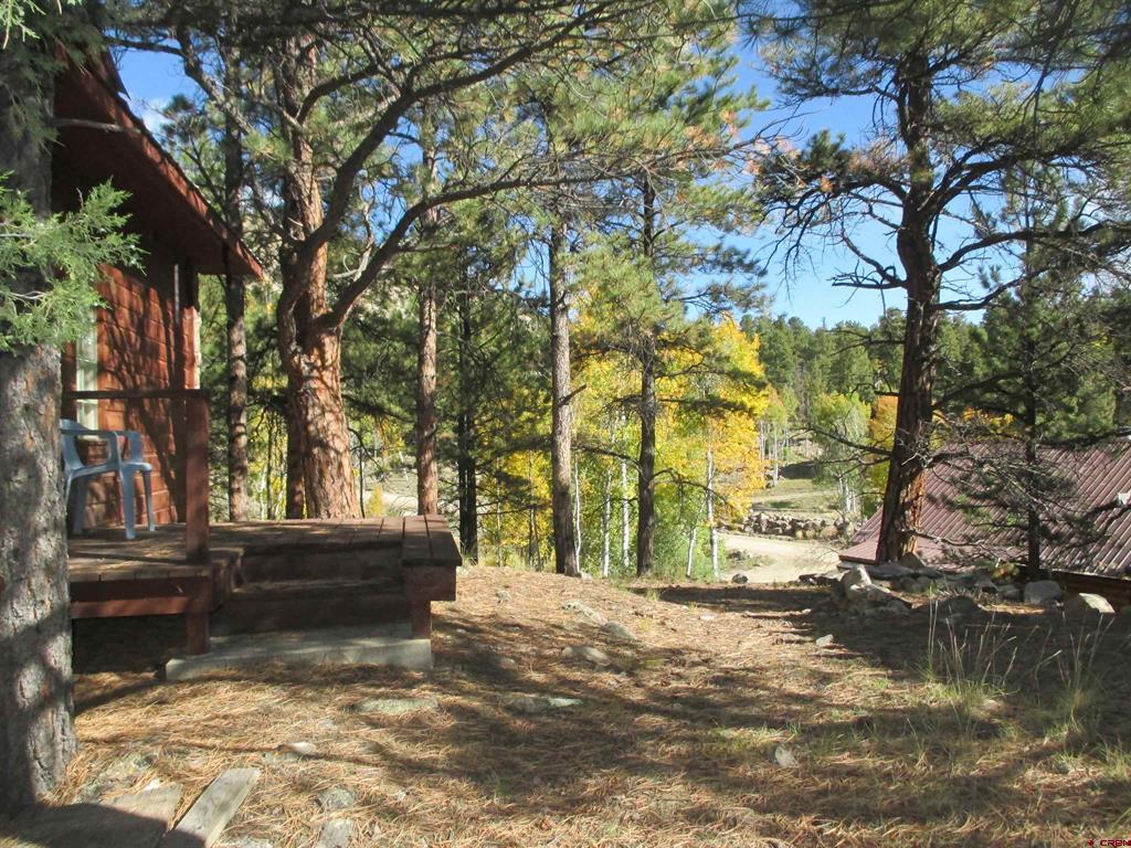 1121 Ocean Wave Drive Lake City CO 81235