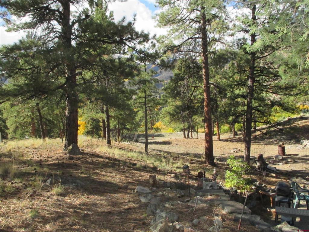 1121 Ocean Wave Drive Lake City CO 81235