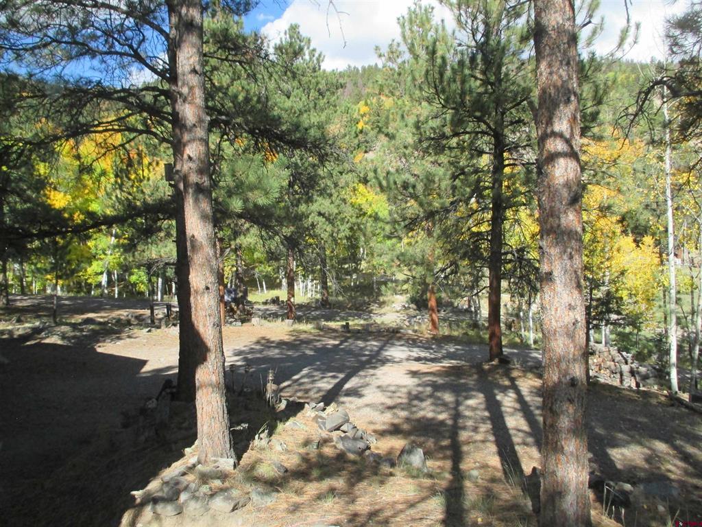 1121 Ocean Wave Drive Lake City CO 81235