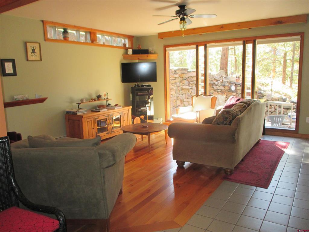 1121 Ocean Wave Drive Lake City CO 81235