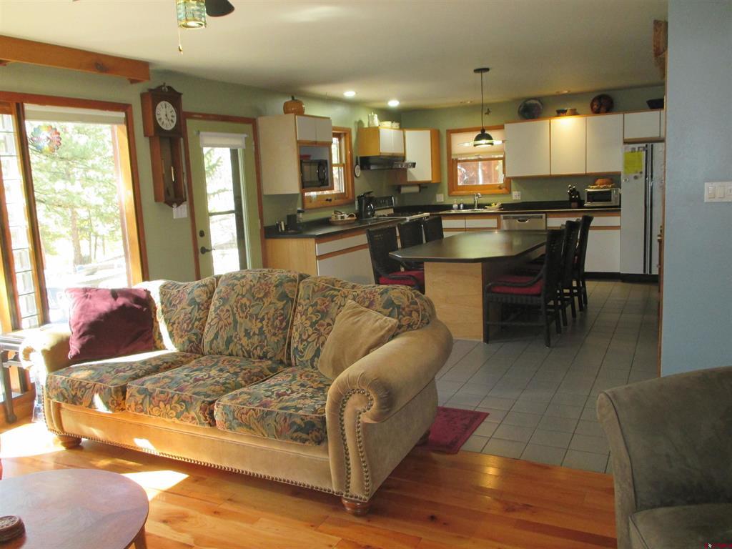 1121 Ocean Wave Drive Lake City CO 81235