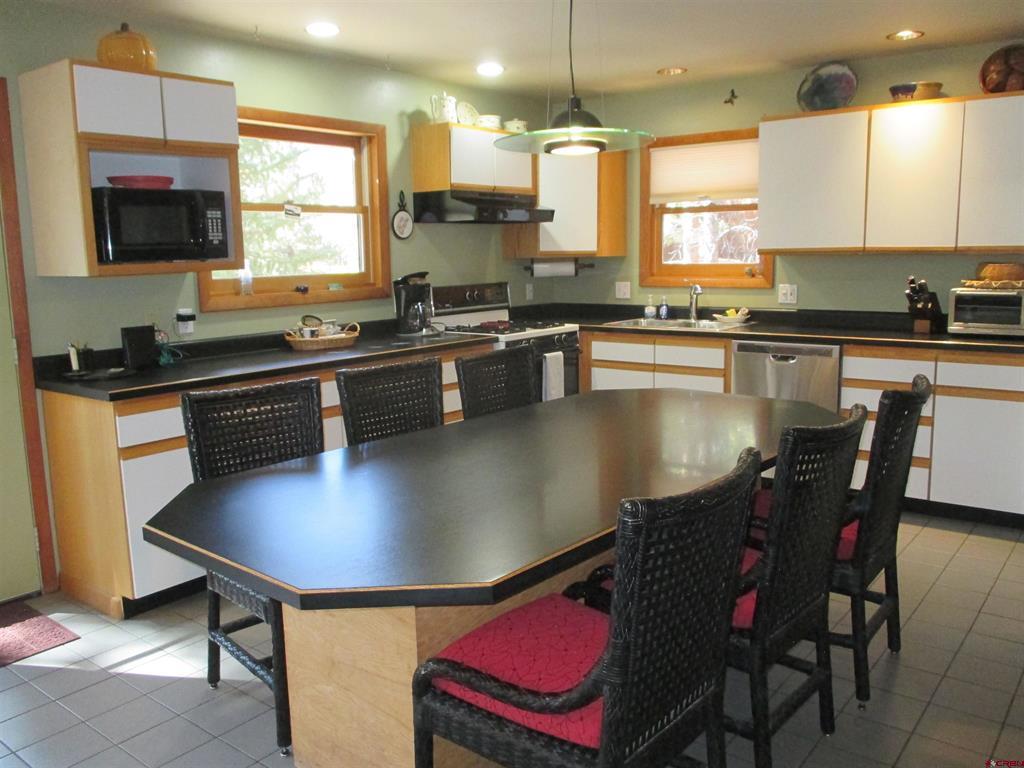 1121 Ocean Wave Drive Lake City CO 81235