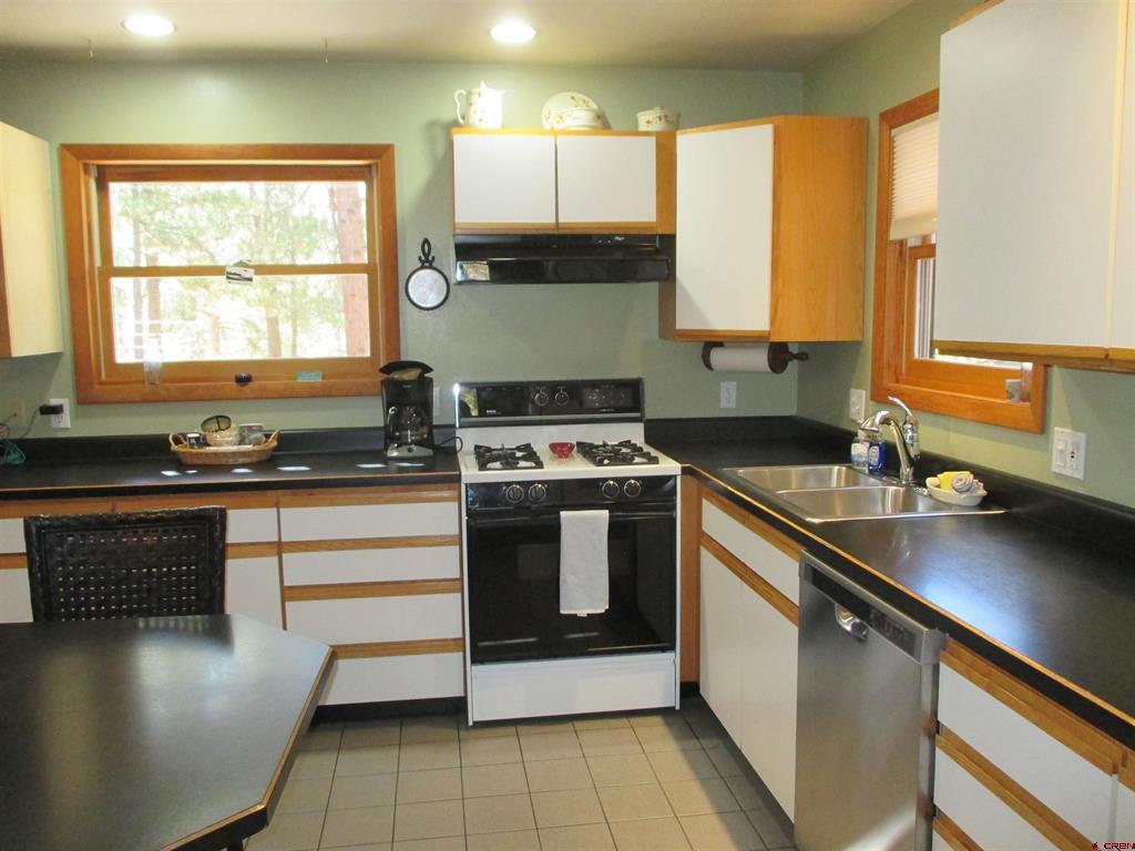 1121 Ocean Wave Drive Lake City CO 81235