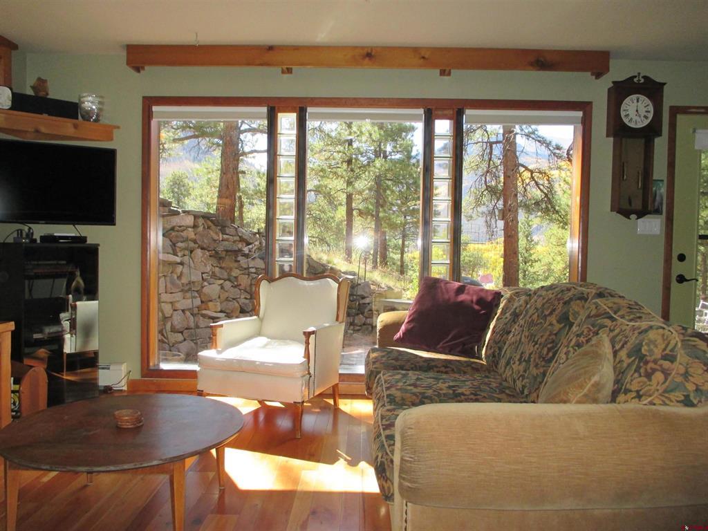 1121 Ocean Wave Drive Lake City CO 81235