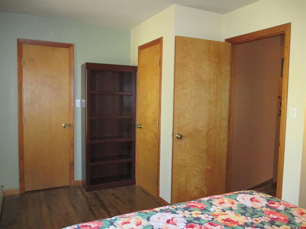 1121 Ocean Wave Drive Lake City CO 81235