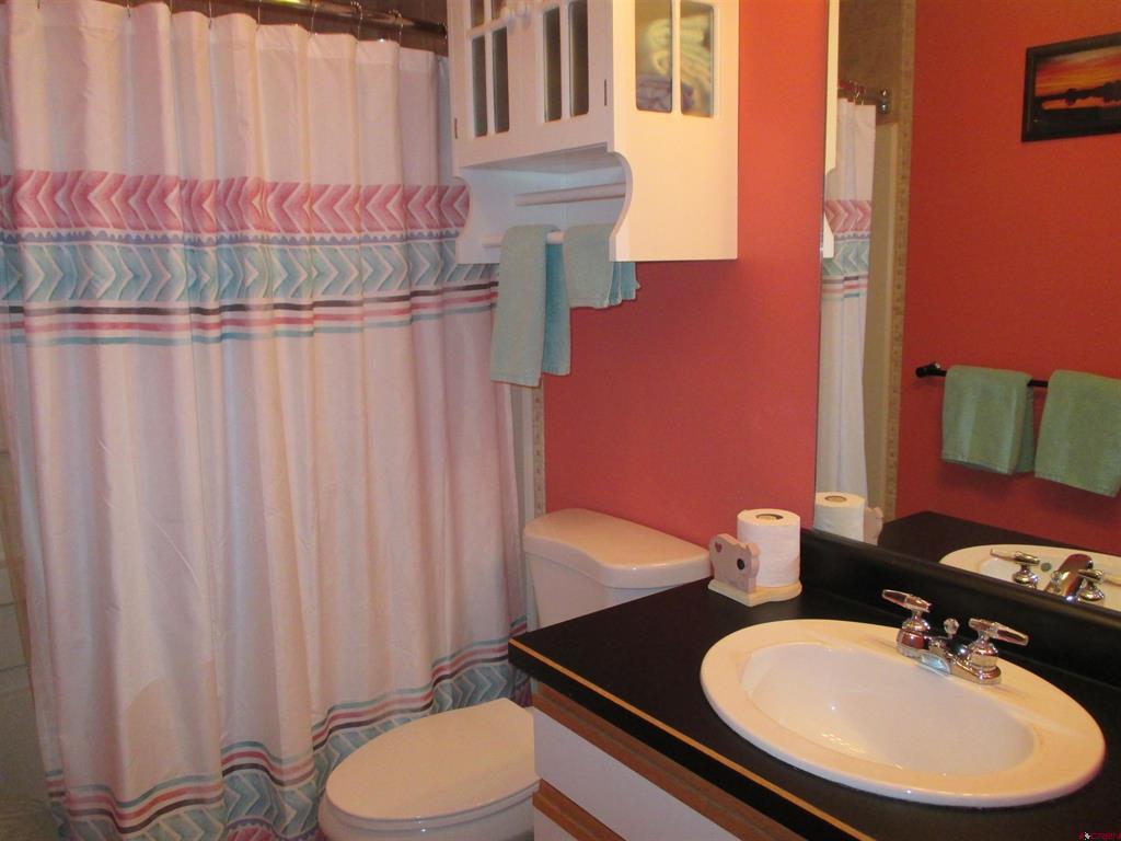 1121 Ocean Wave Drive Lake City CO 81235