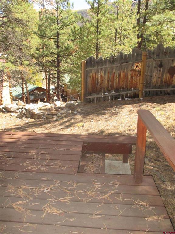 1121 Ocean Wave Drive Lake City CO 81235