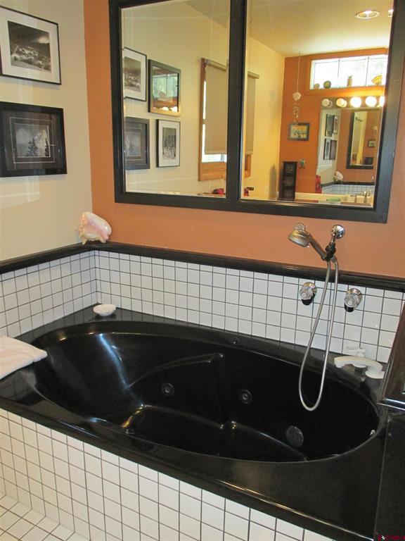 1121 Ocean Wave Drive Lake City CO 81235