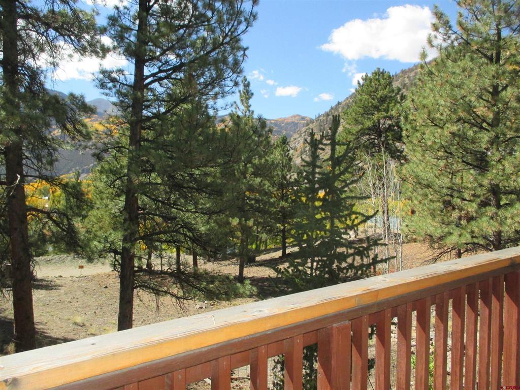 1121 Ocean Wave Drive Lake City CO 81235