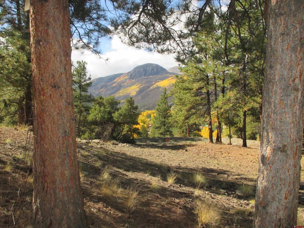 1121 Ocean Wave Drive Lake City CO 81235