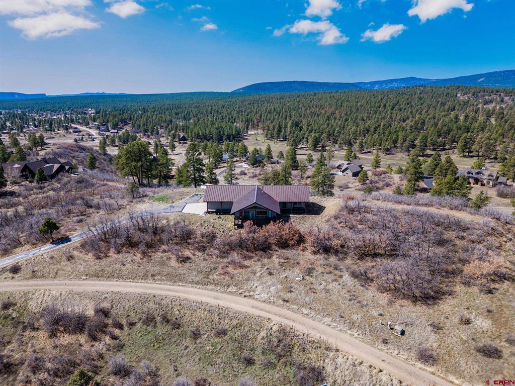 317 Clint Circle Pagosa Springs CO 81147