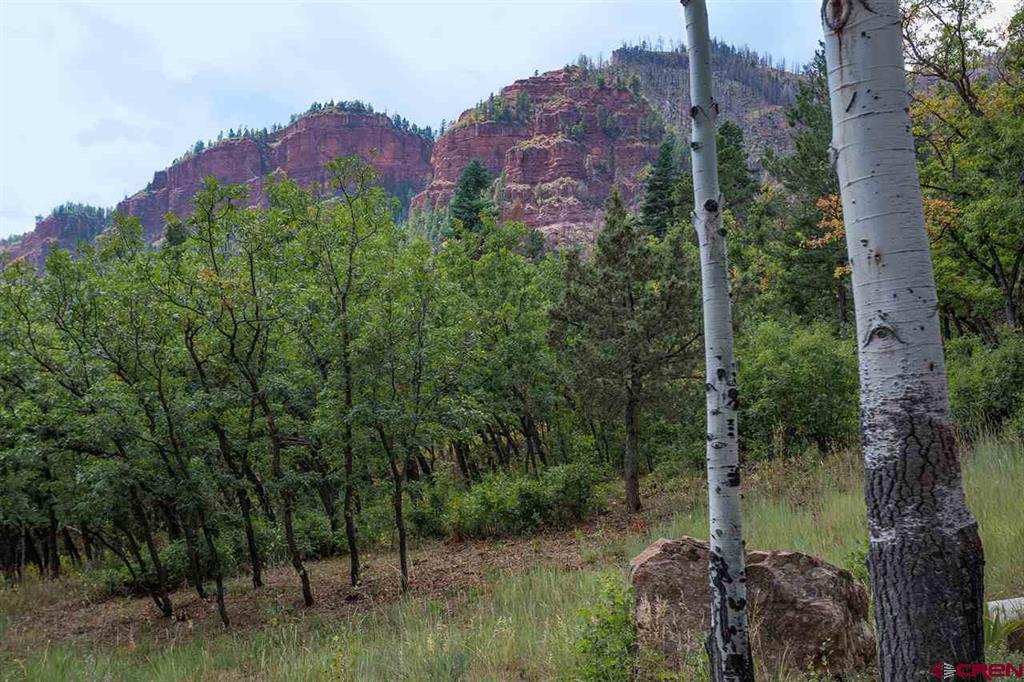 8493 Falls Creek Main Durango CO 81301