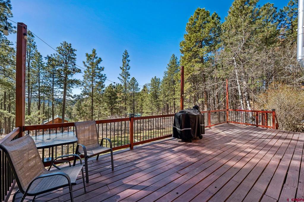 954 Pine Tree Drive Bayfield CO 81122
