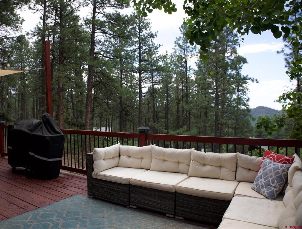 954 Pine Tree Drive Bayfield CO 81122