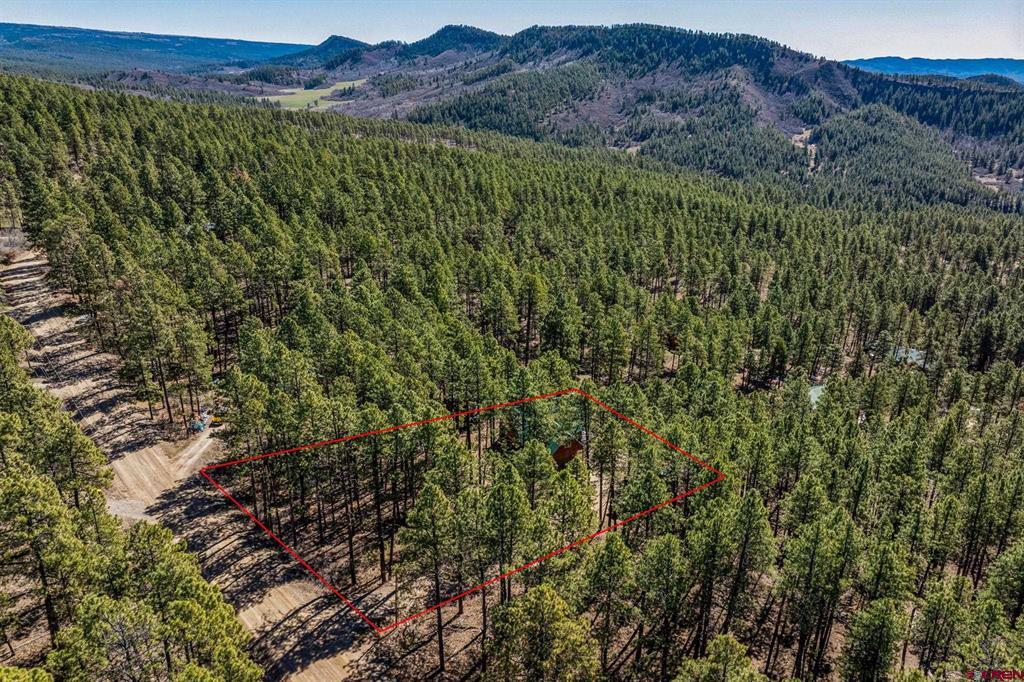 954 Pine Tree Drive Bayfield CO 81122