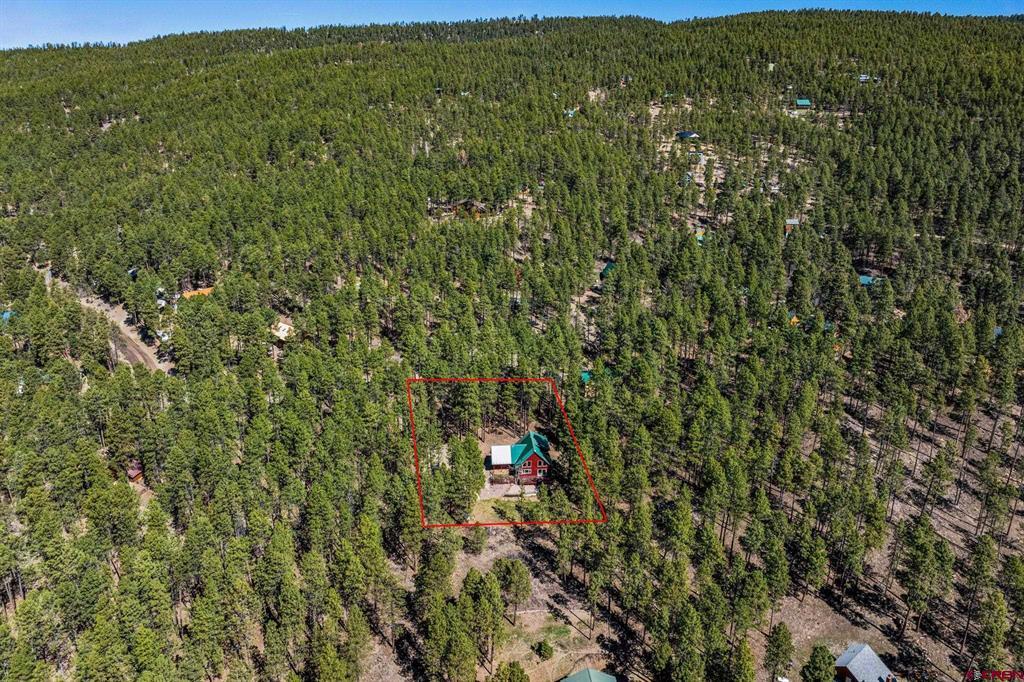 954 Pine Tree Drive Bayfield CO 81122