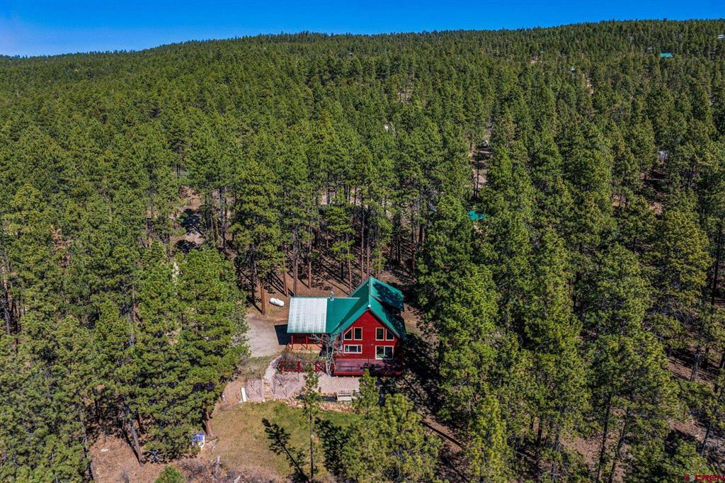 954 Pine Tree Drive Bayfield CO 81122