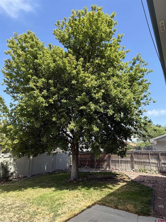 2670 Maya Way Montrose CO 81401