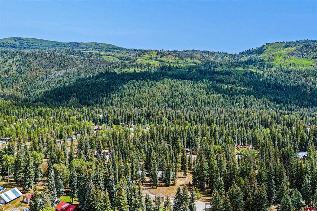 11 & 17 Ponderosa Homes Drive Vallecito Lake/bayfield CO 81122
