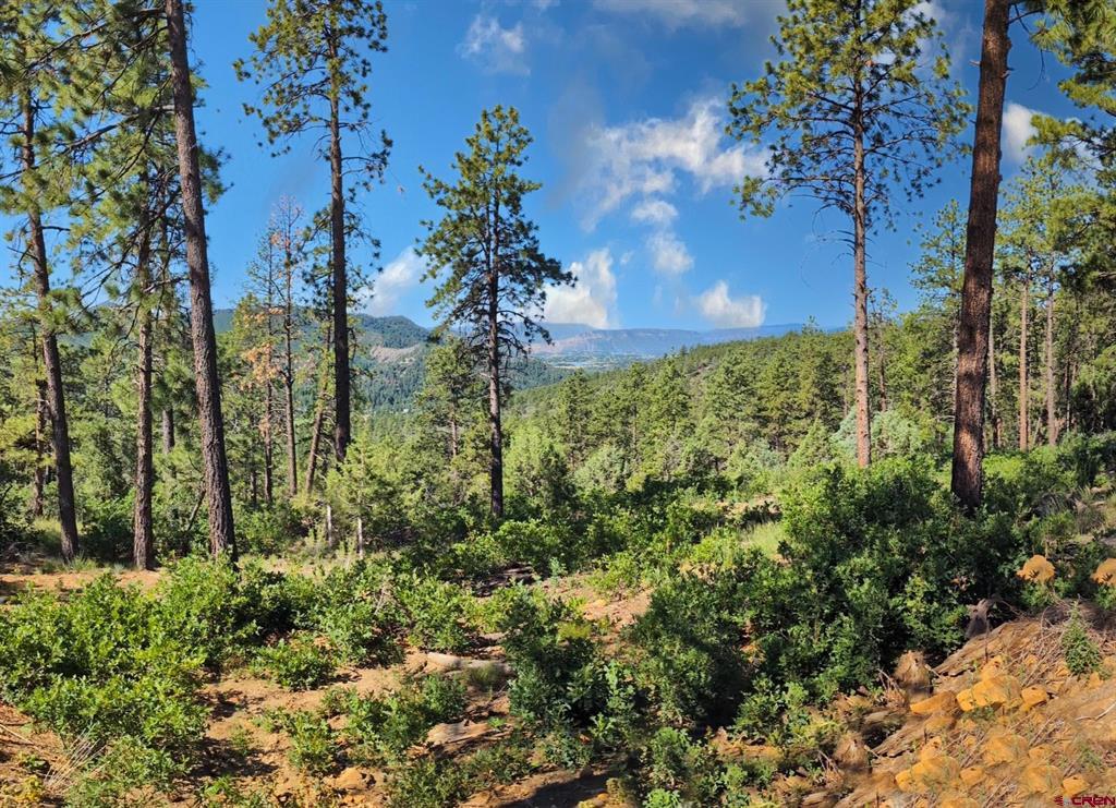 4999 County Road 240 Durango CO 81301