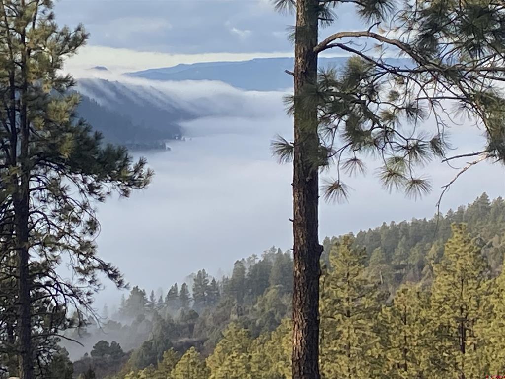 4999 County Road 240 Durango CO 81301
