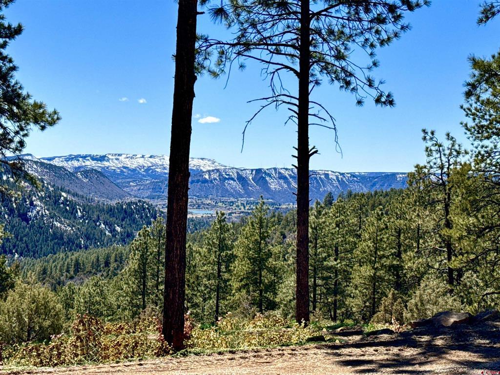 4999 County Road 240 Durango CO 81301