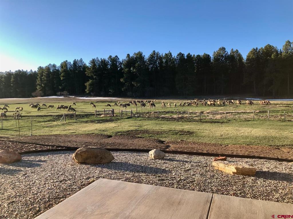 567 Bald Eagle Road Bayfield CO 81122