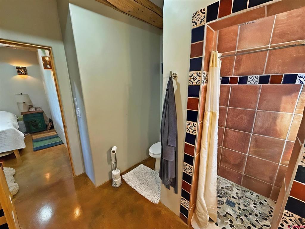 27 Chapel Hill Court South Fork CO 81154
