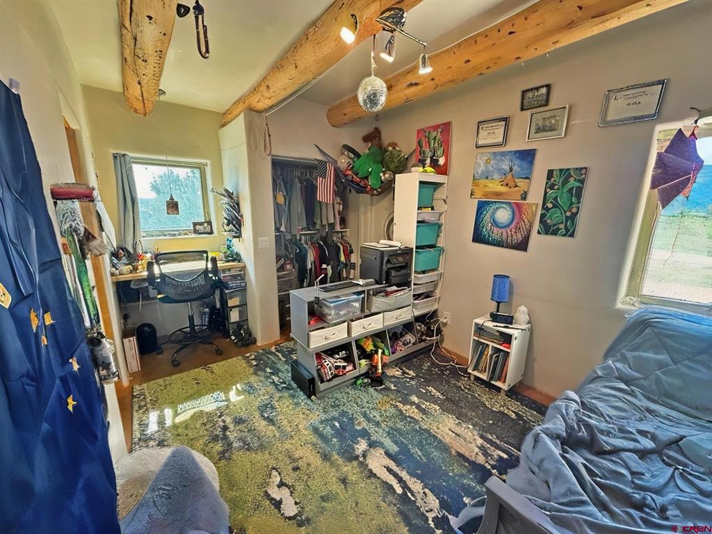 27 Chapel Hill Court South Fork CO 81154